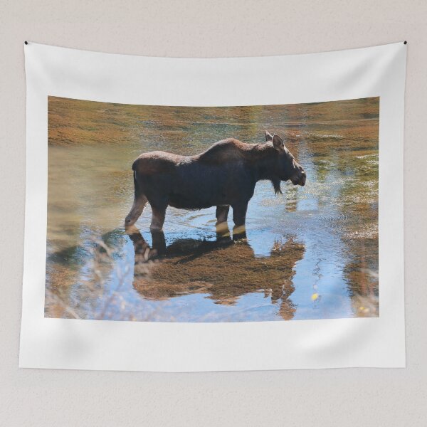 Item preview, Moose in the lake II designed and sold by zumi.