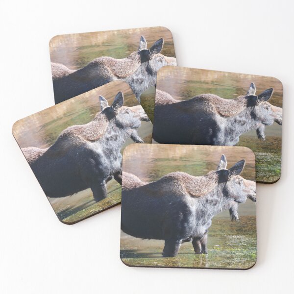Item preview, Moose in the lake designed and sold by zumi.
