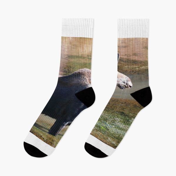 Item preview, Moose in the lake designed and sold by zumi.