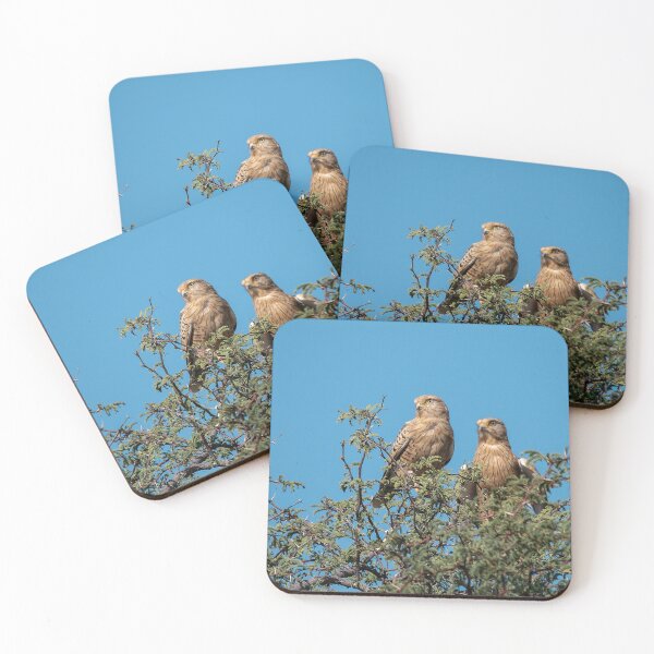 Item preview, Skywatchers of the Acacia — Kestrel Pair under Kalahari Blue designed and sold by DavideAntoniani.