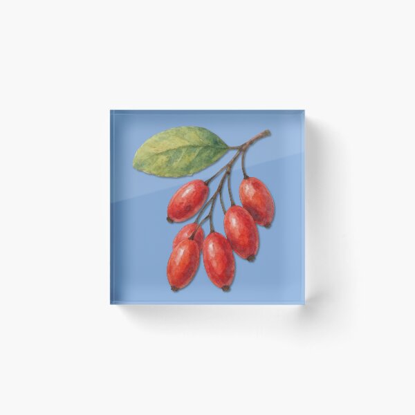 Item preview, A Watercolor Sprig of Vibrant Barberries designed and sold by IraBum.