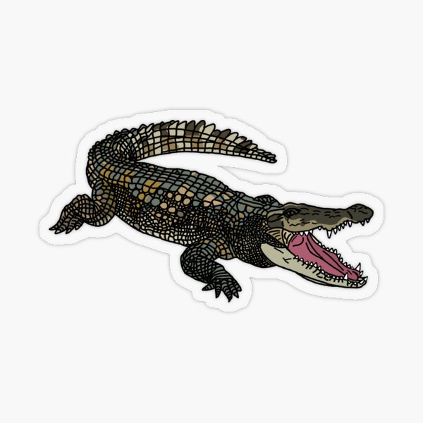 Baby Coffee Gator Sticker for Sale by pocajohantas