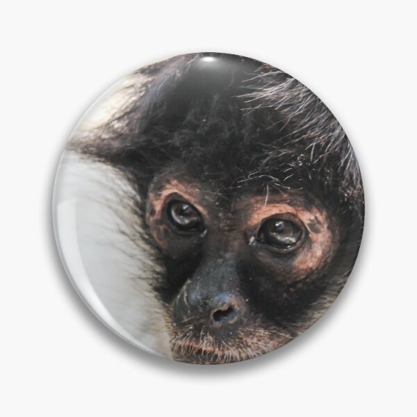 Item preview, Monkey See designed and sold by Ernie Steven Dickey.