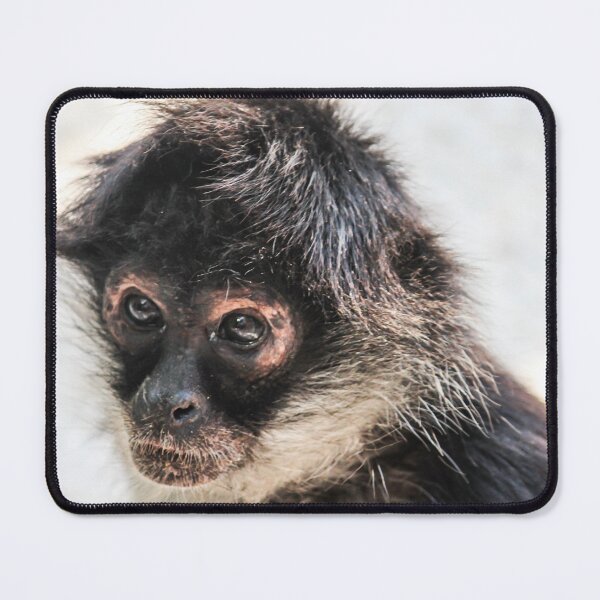 Item preview, Monkey See designed and sold by Ernie Steven Dickey.