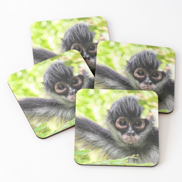 Item preview, Monkey in the Wild designed and sold by Ernie Steven Dickey.