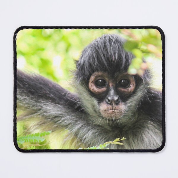 Item preview, Monkey in the Wild designed and sold by Ernie Steven Dickey.