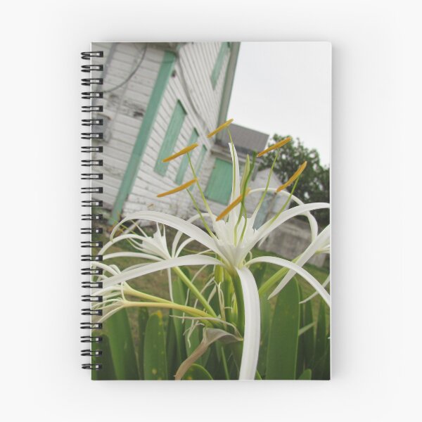 Item preview, Spider Lily by Old House designed and sold by abacoian.