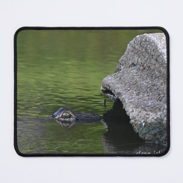 Item preview, Alligator noises out of culvert designed and sold by Glennphotos.