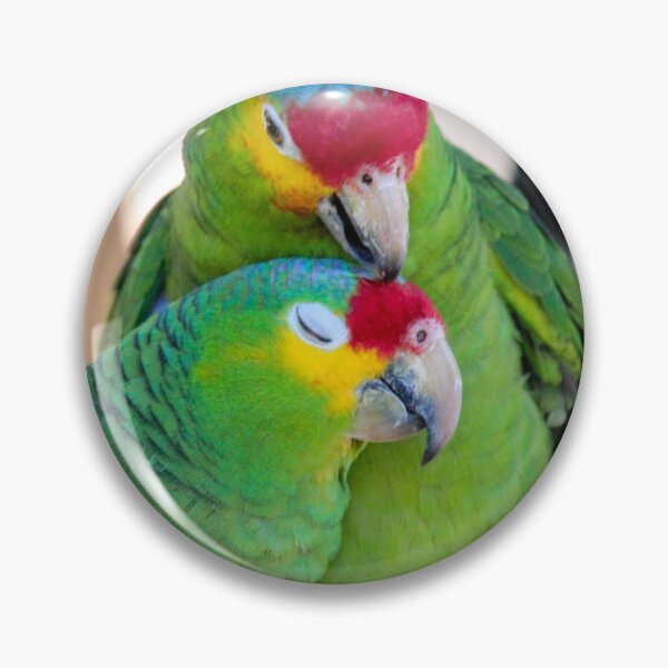 Item preview, Love Bird Parrots  designed and sold by Ernie Steven Dickey.