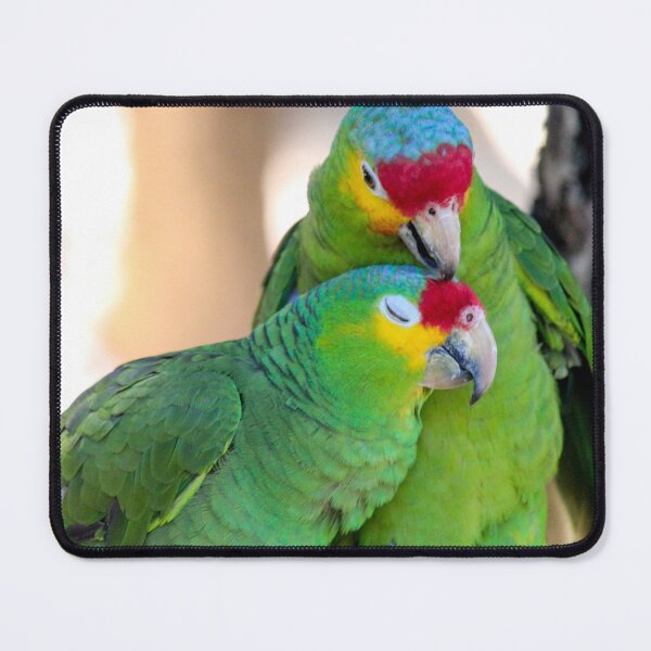 Item preview, Love Bird Parrots  designed and sold by Ernie Steven Dickey.