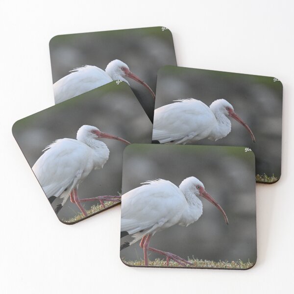 Item preview, Ibis strolling  designed and sold by Glennphotos.
