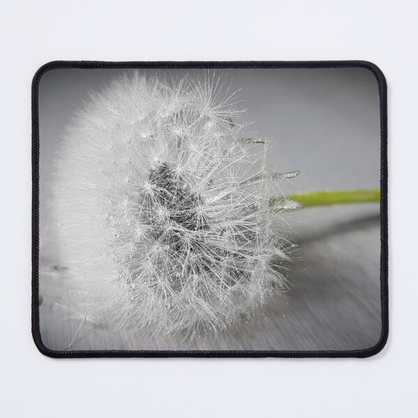 Item preview, Dandelion in Stillness designed and sold by VeraPhotos.