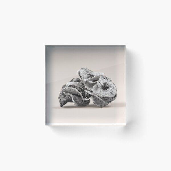Item preview, Abstract Wooden Shape designed and sold by VeraPhotos.