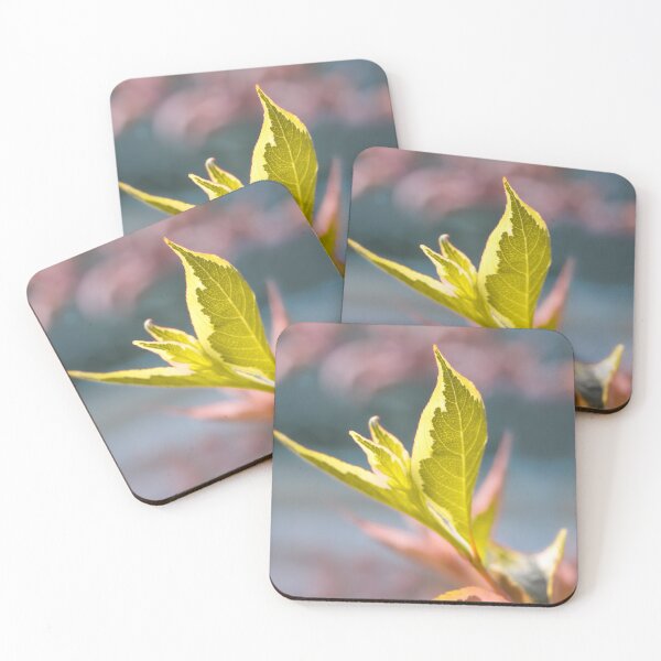 Item preview, Green Leaf on Pastel designed and sold by VeraPhotos.