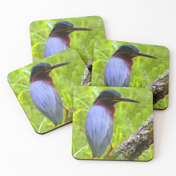 Item preview, Green Heron  designed and sold by Parks and X.
