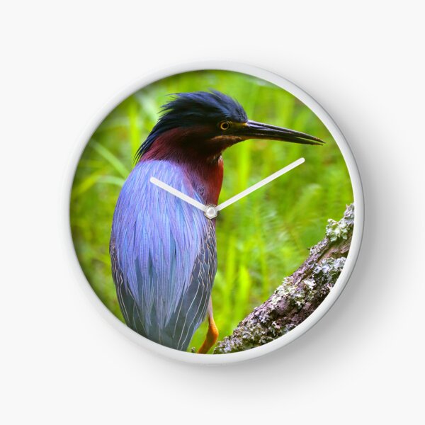 Item preview, Green Heron  designed and sold by Parks and X.