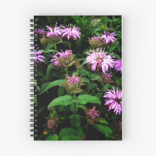 Item preview, Bee Balm designed and sold by Rosemary Peek.