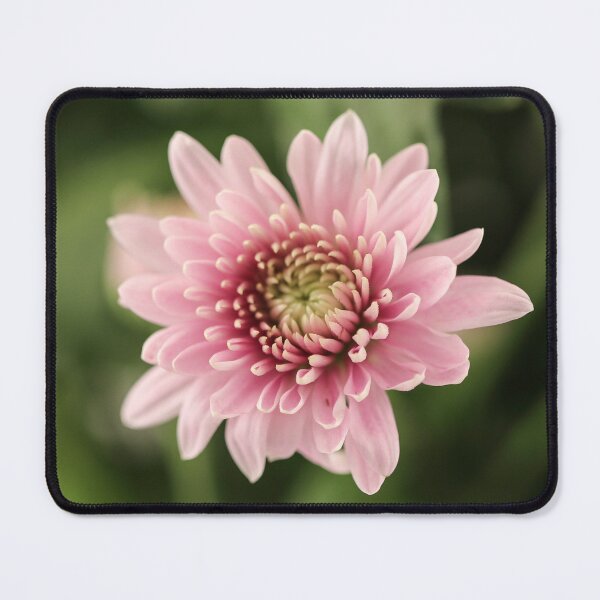 Item preview, The Blooming  designed and sold by Ernie Steven Dickey.