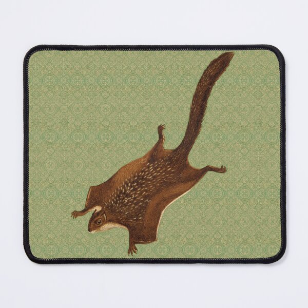 Item preview, Vintage Flying Squirrel Illustration | 19th Century Zoological Print designed and sold by Folio and Field: Archival Art for Modern Living.