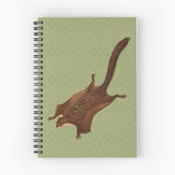 Item preview, Vintage Flying Squirrel Illustration | 19th Century Zoological Print designed and sold by Folio and Field: Archival Art for Modern Living.