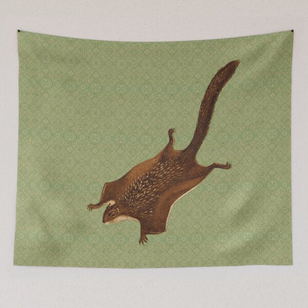 Item preview, Vintage Flying Squirrel Illustration | 19th Century Zoological Print designed and sold by Folio and Field: Archival Art for Modern Living.