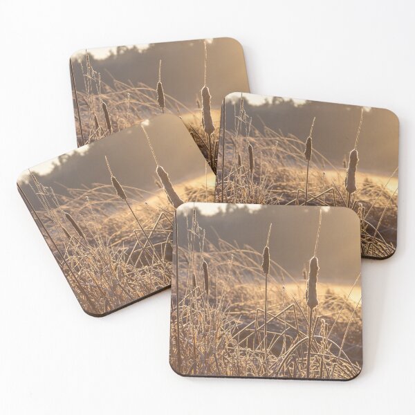 Item preview, Autumn Light designed and sold by Ernie Steven Dickey.