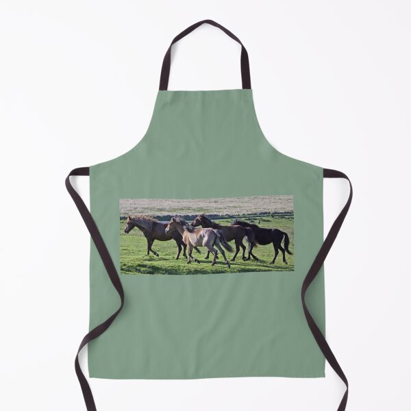 Artikelvorschau, Dartmoor-Ponys im Galopp entworfen und verkauft von artsmeow.