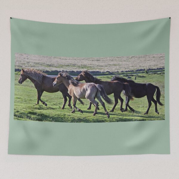 Artikelvorschau, Dartmoor-Ponys im Galopp entworfen und verkauft von artsmeow.