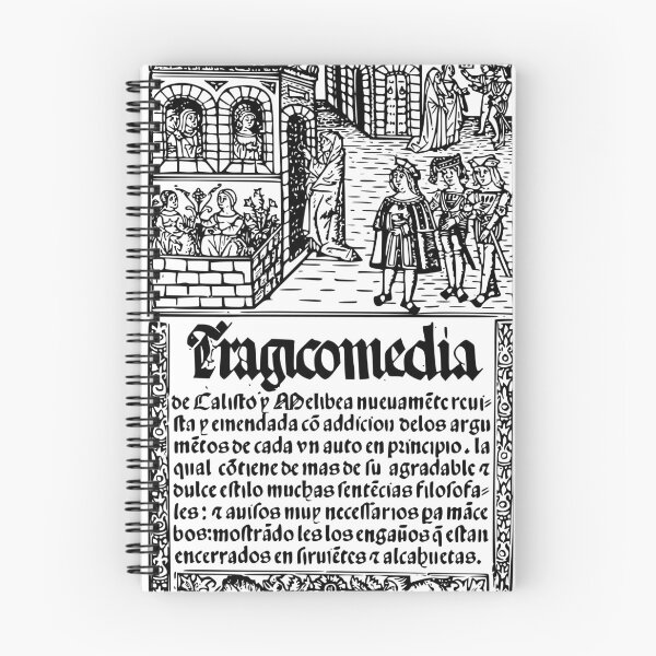 Item preview, Tragicomedy of Calisto and Melibea. 'La Celestina' by Fernando de Rojas. Convent-trotter, procuress. designed and sold by Filologica.