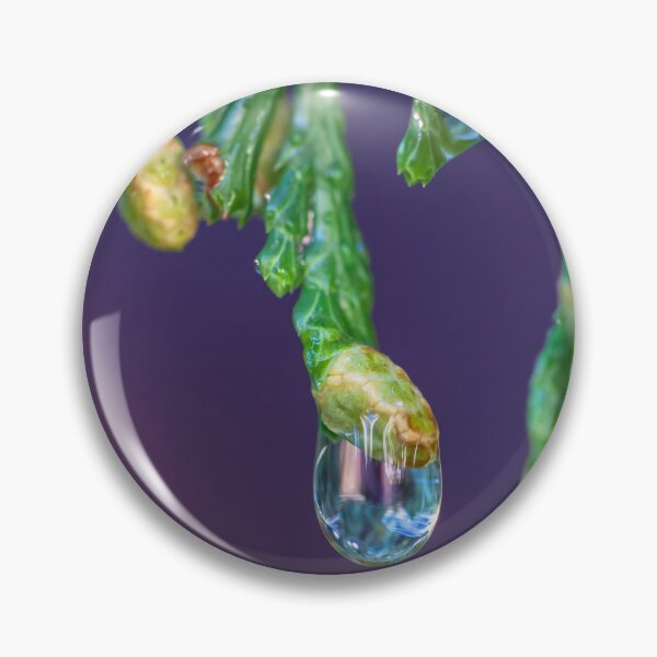 Item preview, Cedar Buds and Raindrops  designed and sold by jvnimages.