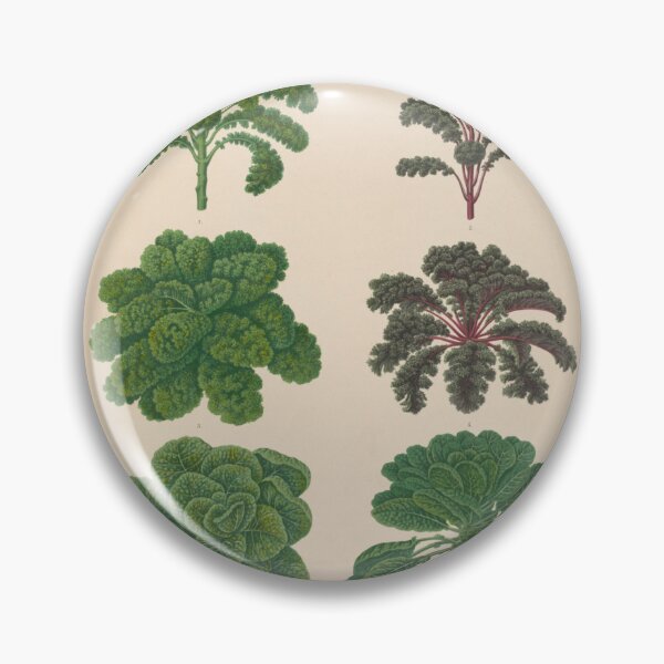 Item preview, Kale And Brussels Sprouts designed and sold by BlueSpecsStudio.