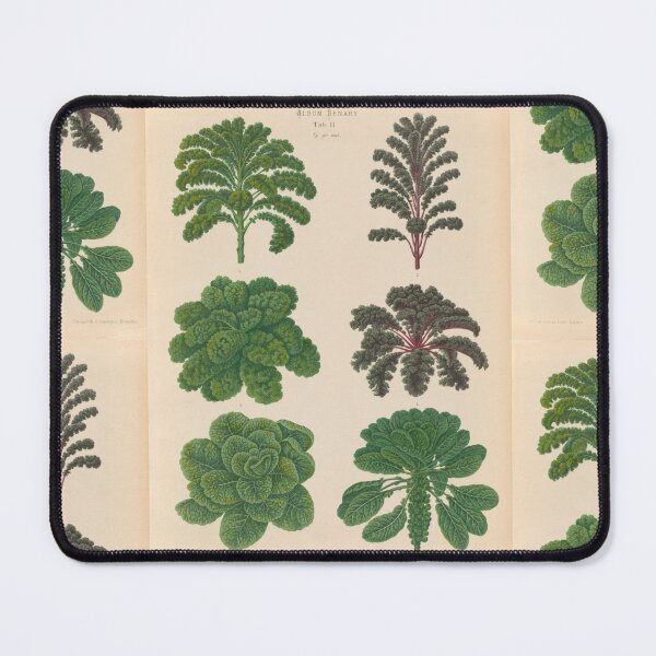 Item preview, Kale And Brussels Sprouts designed and sold by BlueSpecsStudio.