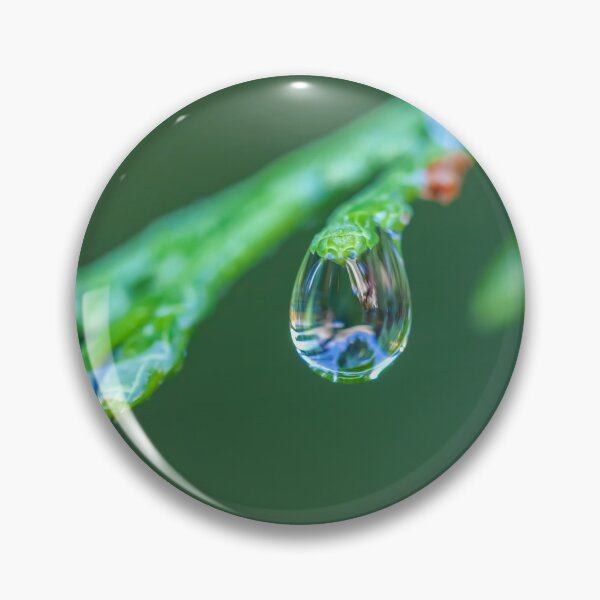 Item preview, Raindrops on Cedar  designed and sold by jvnimages.