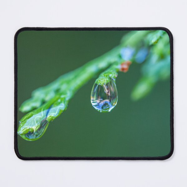 Item preview, Raindrops on Cedar  designed and sold by jvnimages.