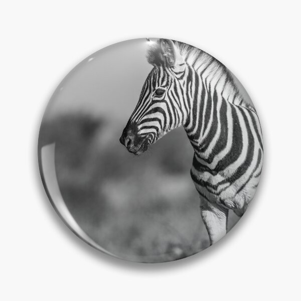Item preview, Sculpted in Light — Young Zebra on a Termite Mound, Etosha (Black & White) designed and sold by DavideAntoniani.