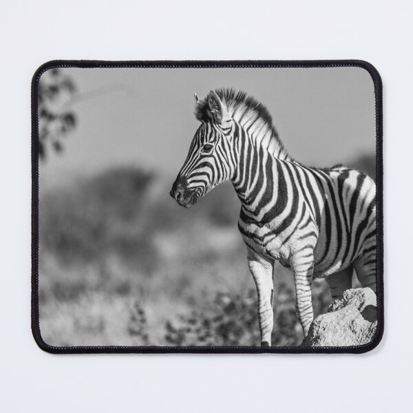Item preview, Sculpted in Light — Young Zebra on a Termite Mound, Etosha (Black & White) designed and sold by DavideAntoniani.