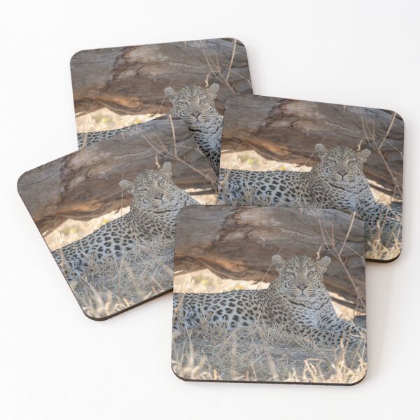 Item preview, Keeper of the Shade — Leopard at Rest beneath a Fallen Tree designed and sold by DavideAntoniani.