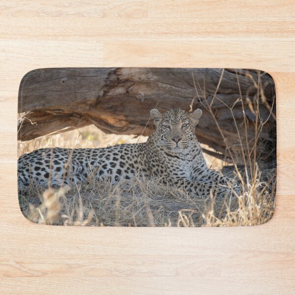 Item preview, Keeper of the Shade — Leopard at Rest beneath a Fallen Tree designed and sold by DavideAntoniani.