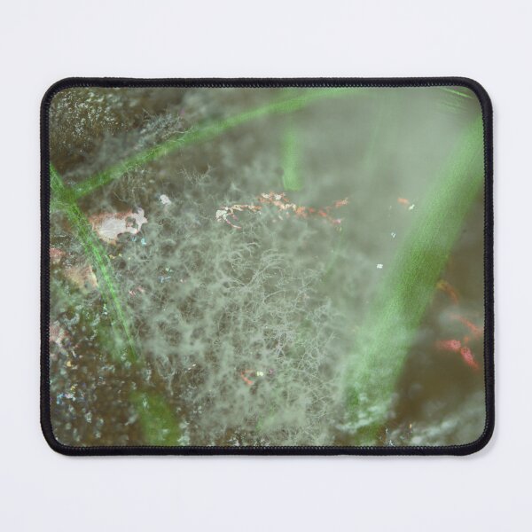 Item preview, Cotton Leaf designed and sold by Opalform.
