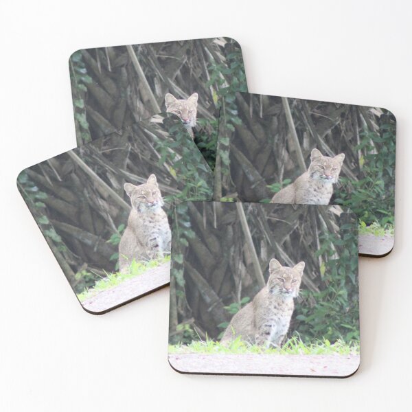 Item preview, The bobcat designed and sold by Jmb67.