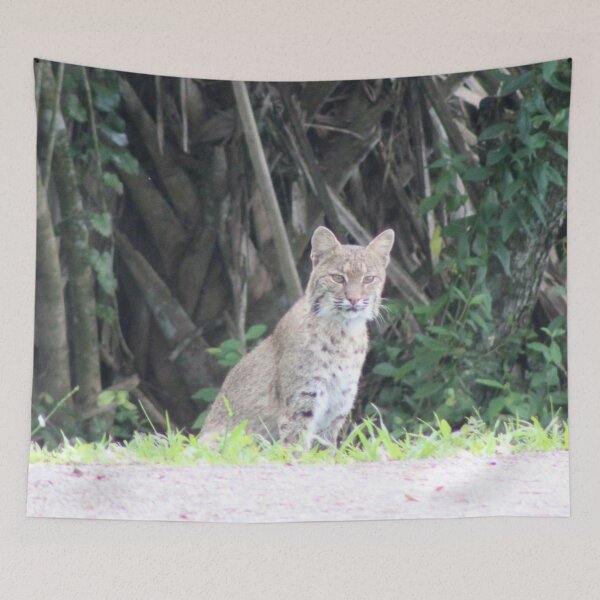 Item preview, The bobcat designed and sold by Jmb67.