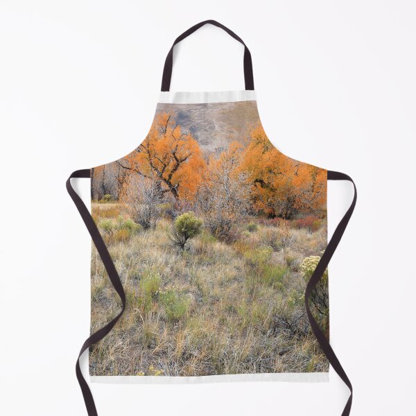 Item preview, Autumn in Great Sand Dunes NP II designed and sold by zumi.