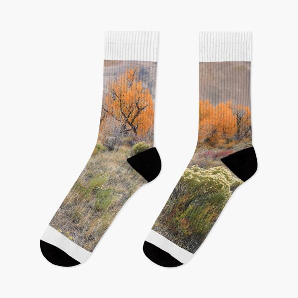 Item preview, Autumn in Great Sand Dunes NP II designed and sold by zumi.