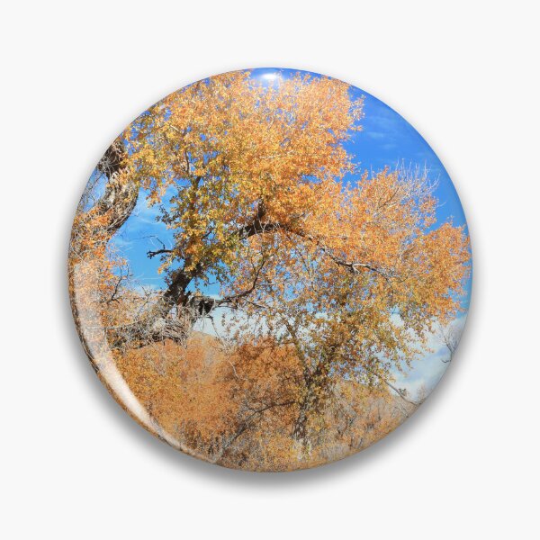 Item preview, Autumn in Great Sand Dunes NP IV designed and sold by zumi.