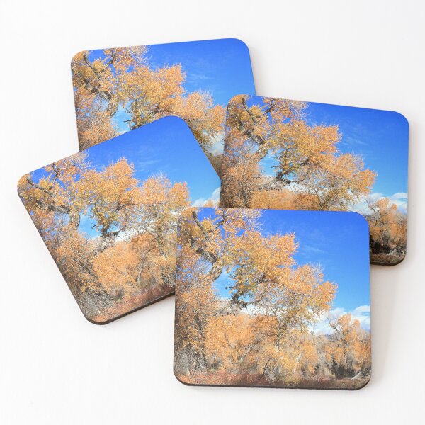 Item preview, Autumn in Great Sand Dunes NP IV designed and sold by zumi.