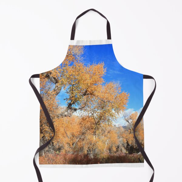 Item preview, Autumn in Great Sand Dunes NP IV designed and sold by zumi.