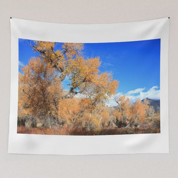 Item preview, Autumn in Great Sand Dunes NP IV designed and sold by zumi.