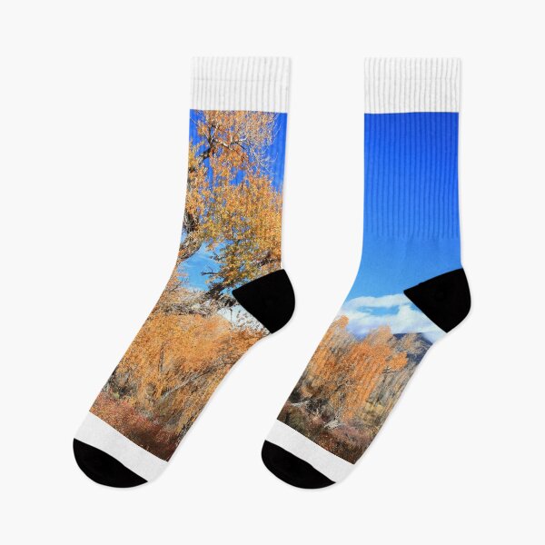Item preview, Autumn in Great Sand Dunes NP IV designed and sold by zumi.
