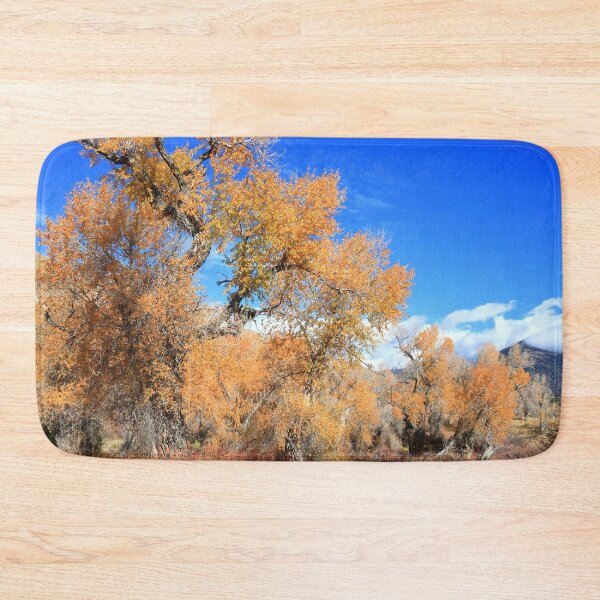 Item preview, Autumn in Great Sand Dunes NP IV designed and sold by zumi.