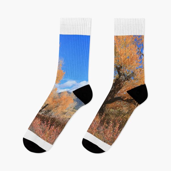Item preview, Autumn in Great Sand Dunes NP V designed and sold by zumi.